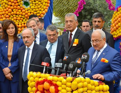 Mersin Narinciye Festivali