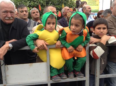 Mersin Narinciye Festivali