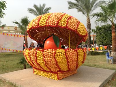 Mersin Narinciye Festivali