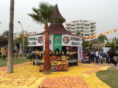 Mersin Narinciye Festivali