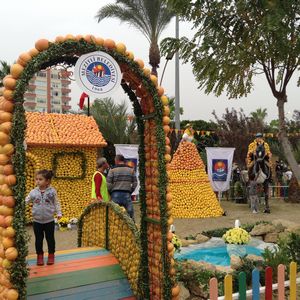 Mersin Narinciye Festivali