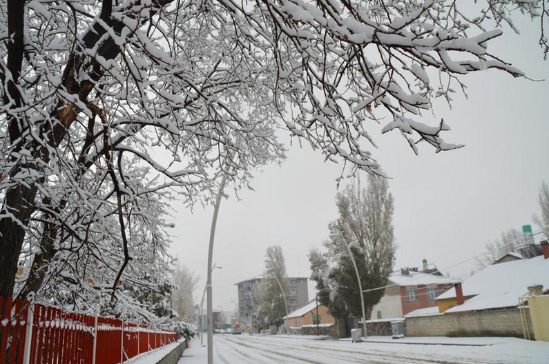 Bu fotoğraf bugün çekildi