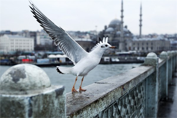 2015'te görülmesi gereken şehirler
