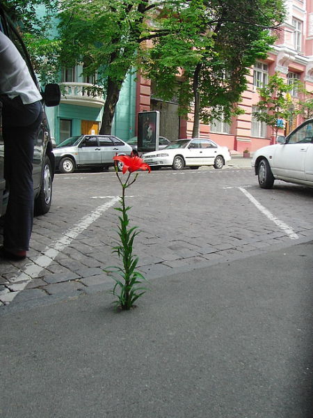 Günün en çılgın fotoğrafları