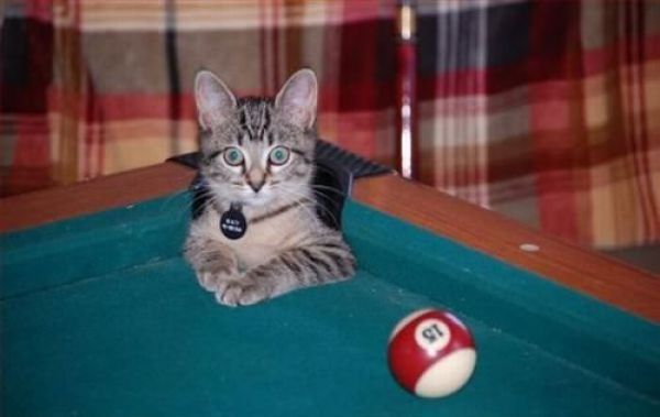 Böyle bilardo görmediniz