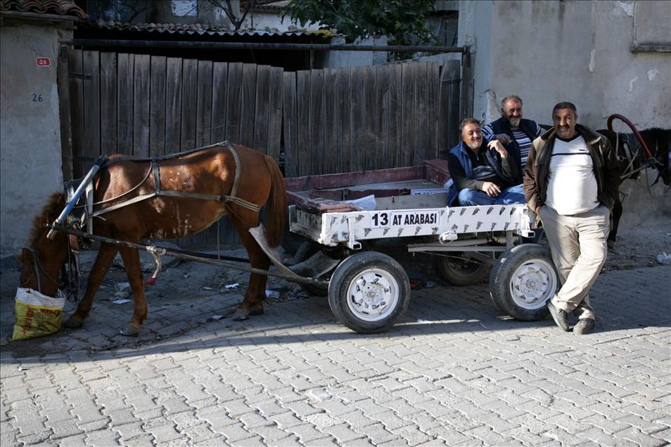 Malkara'da at arabalarına plaka takıldı