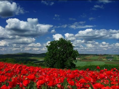 Fotoğraflarla Türkiye