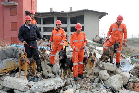 Van'dan yürek dağlayan görüntüler